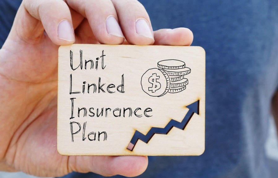 Can Unit-Linked Insurance Plan Journal   : Maximize Your Returns