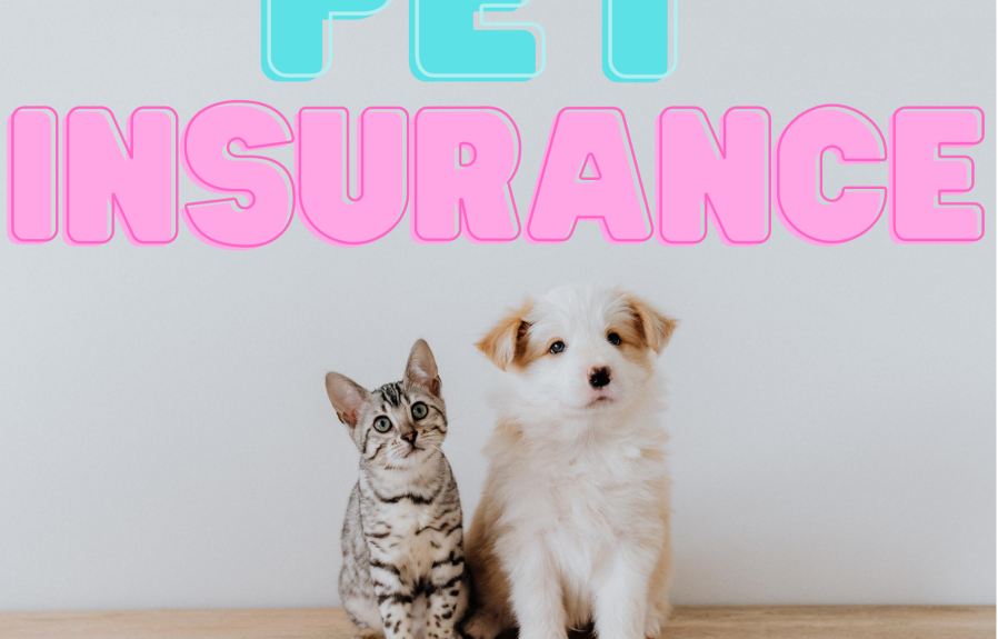 Does Pet Insurance Pay Upfront: Everything You Need to Know