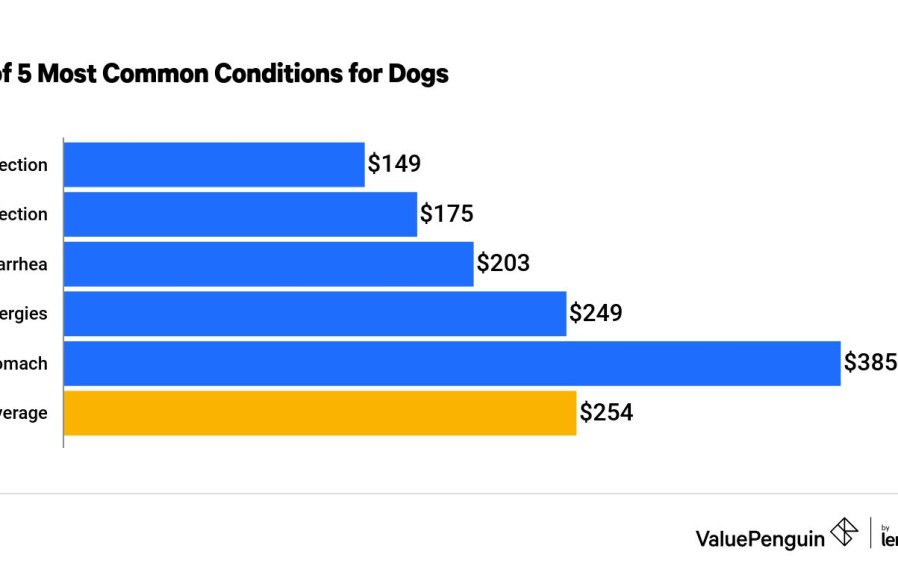 How Much Does Pet Insurance Cost a Month