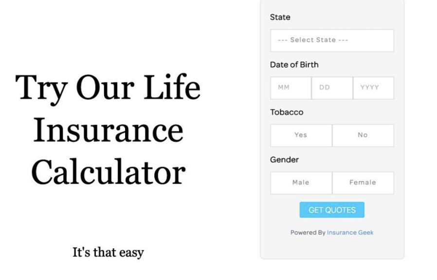 How Much Term Life Insurance Calculator