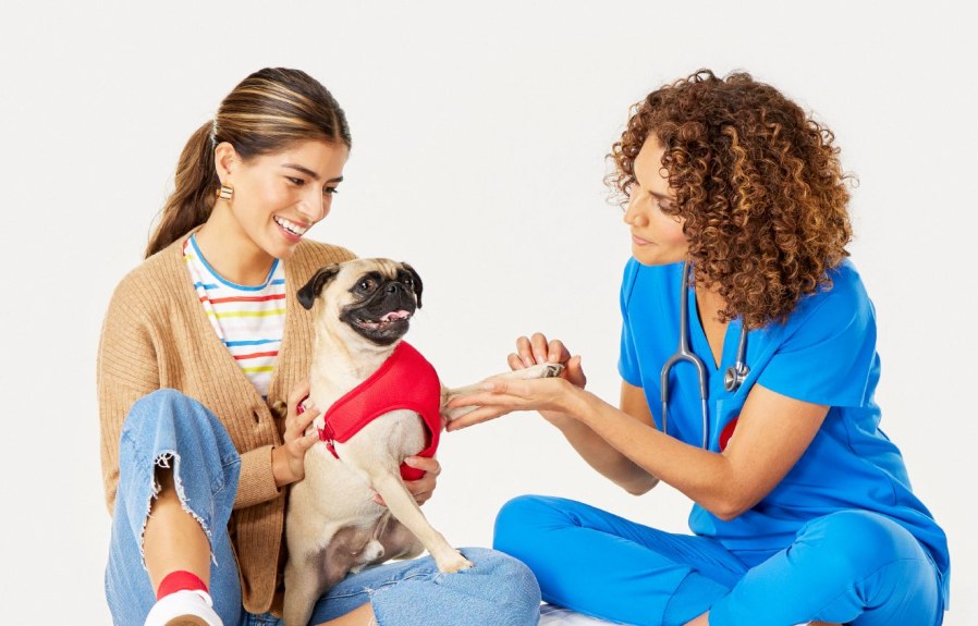 Petsmart Insurance  : Protecting Your Pet with Comprehensive Coverage