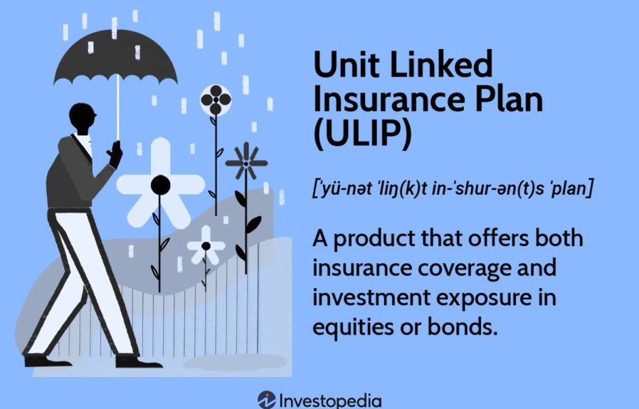 Types of Unit Linked Insurance Plan  : Your Comprehensive Guide