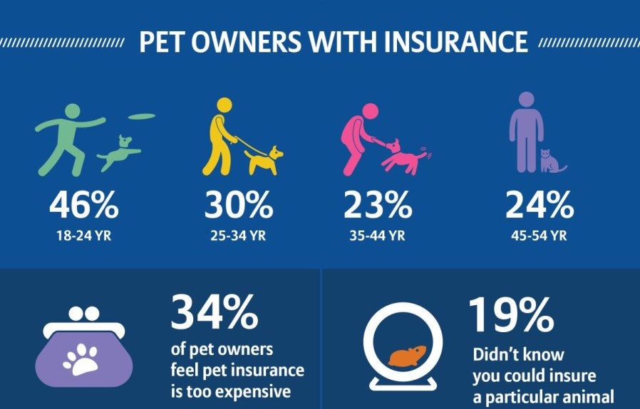 Where Pet Insurance Ireland