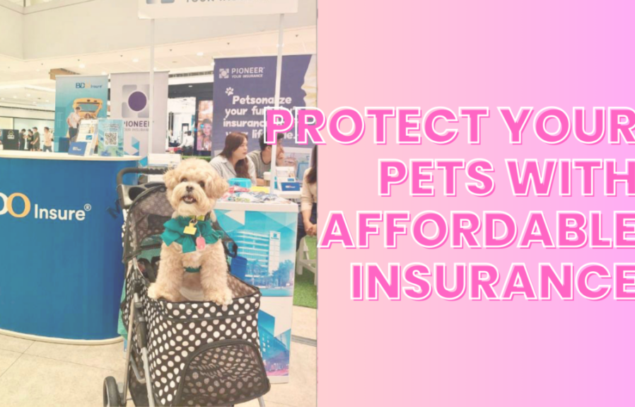 Protecting Your Pets: Understanding Pet Insurance in Bangladesh