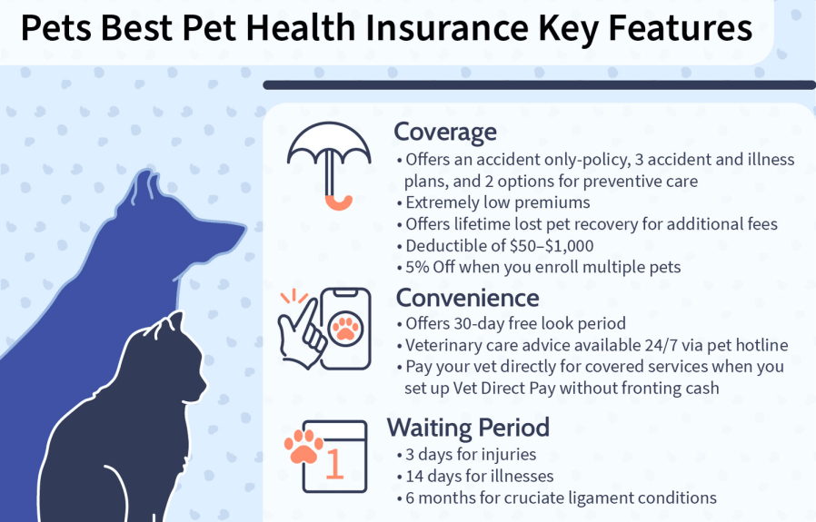 Which Dog Insurance is Best: Unbiased Comparison and Reviews