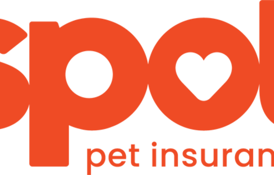 Which Pet Insurance is the Best Uk: Top-Rated Coverage and Benefits